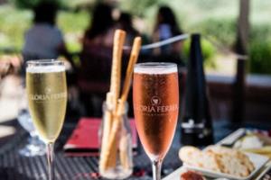 德尚，2024欧洲杯中的指挥官与球队精神的象征德尚2024年欧洲杯