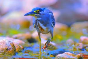 张家辉，欧洲杯背后的影子与光芒张家辉评欧洲杯